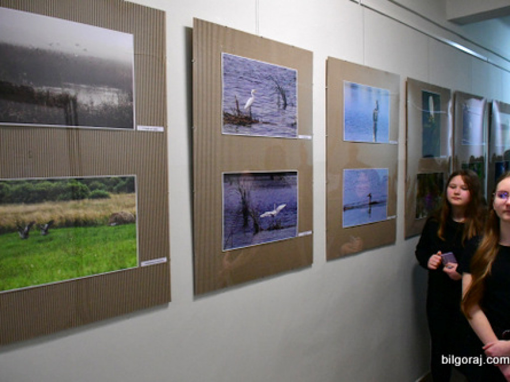 Wystawa fotografii przyrody w Bibliotece Pedagogicznej w Biłgoraju