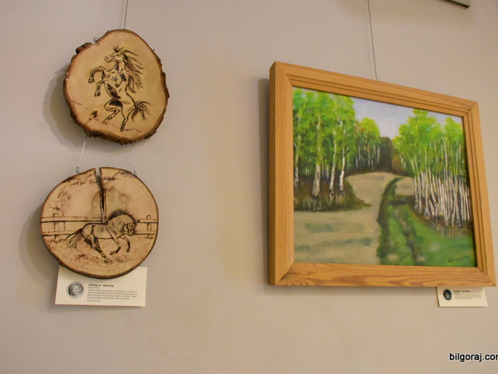 Barwne miraże… Wystawa w galerii BCK (FOTO)