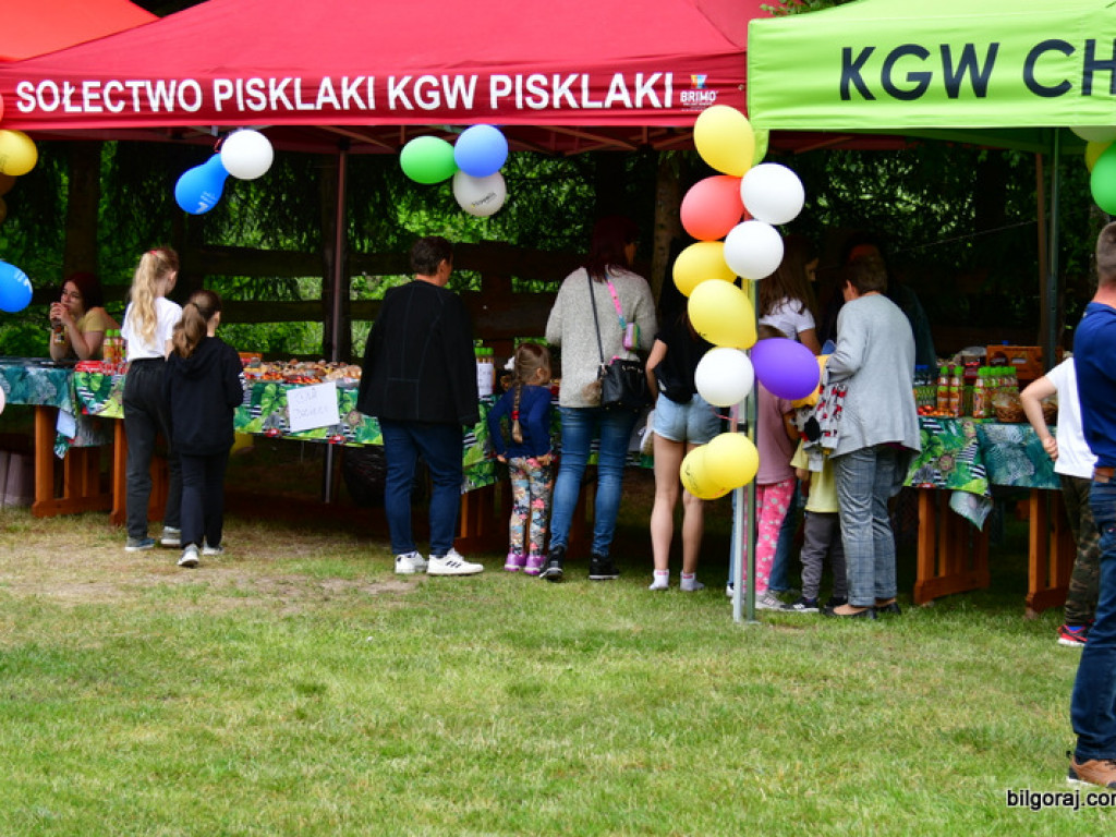 Dzień Dziecka nad Tanwią (FOTO)