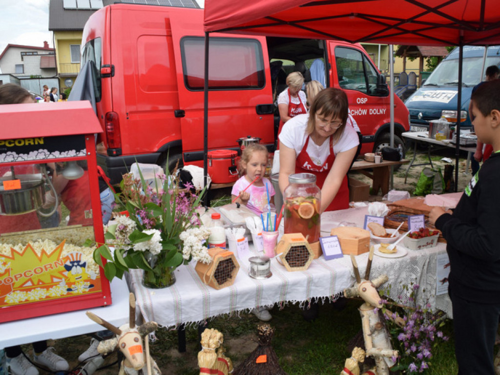 Integracyjni piknik w Tarnogrodzie (FOTO)