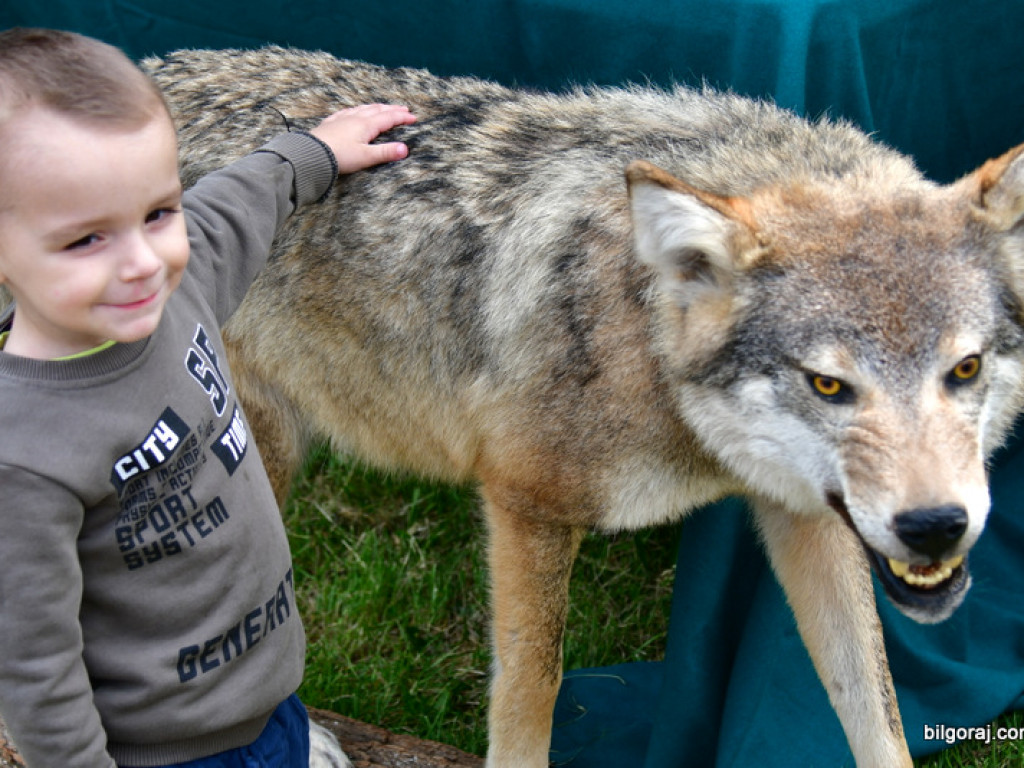 Dzień Dziecka na Roztoczu (FOTO)