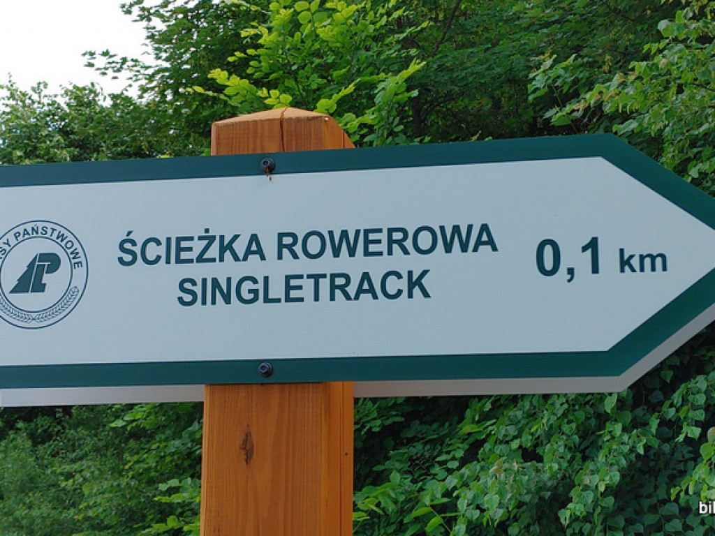 Dziś pierwszy dzień wakacji. Mamy propozycję..