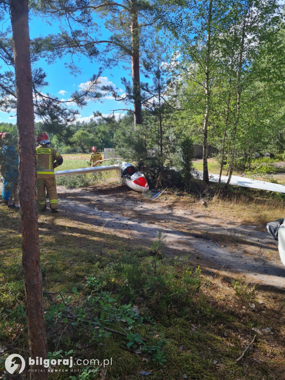 Wypadek szybowca - Rapy Dylańskie