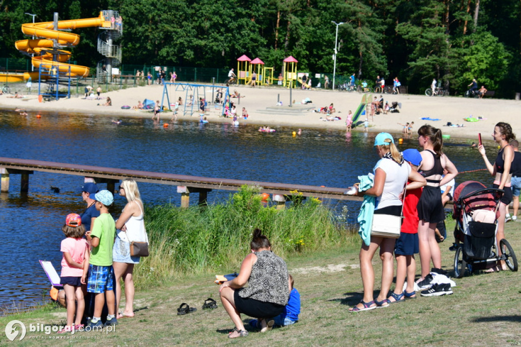 Trzeźwo - zdrowo - na sportowo