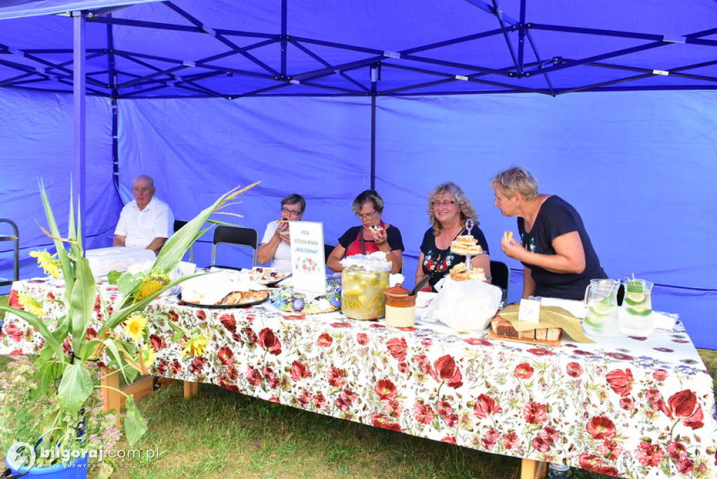 Piknik rodzinny w Wólce Biskiej