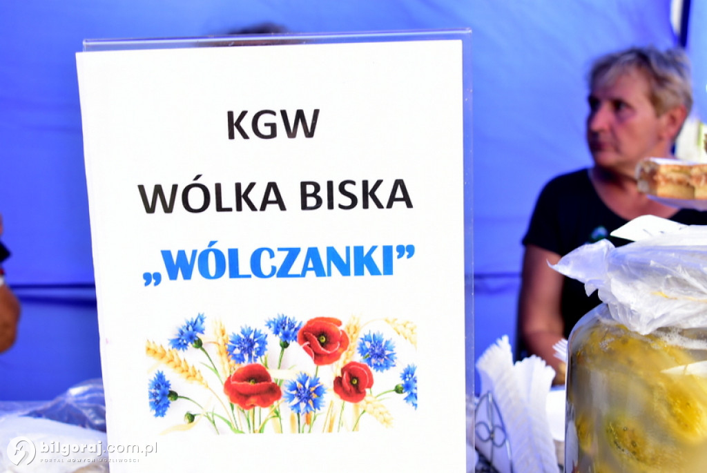 Piknik rodzinny w Wólce Biskiej