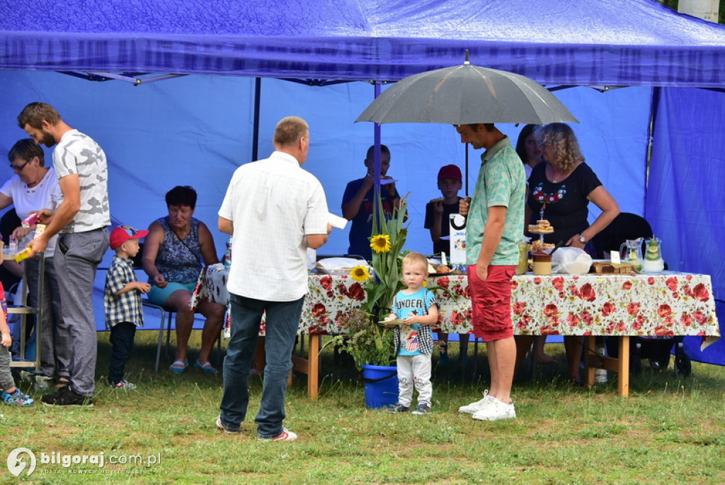 Piknik rodzinny w Wólce Biskiej