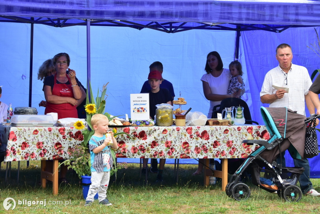 Piknik rodzinny w Wólce Biskiej