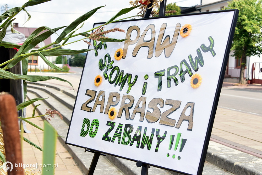 Józefowskie dożynki na miejskim rynku