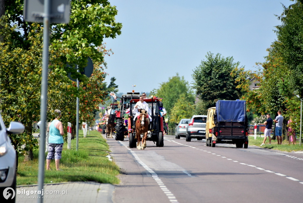 Dożynki gminne w Aleksandrowie