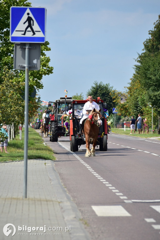 Dożynki gminne w Aleksandrowie