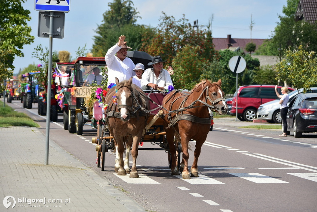 Dożynki gminne w Aleksandrowie