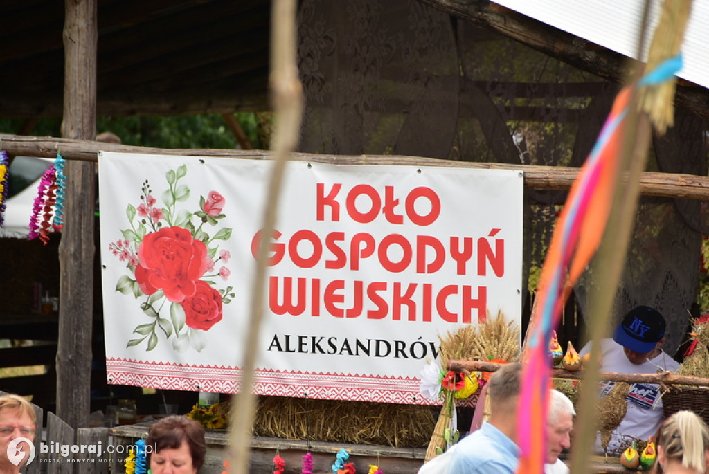 Dożynki gminne w Aleksandrowie