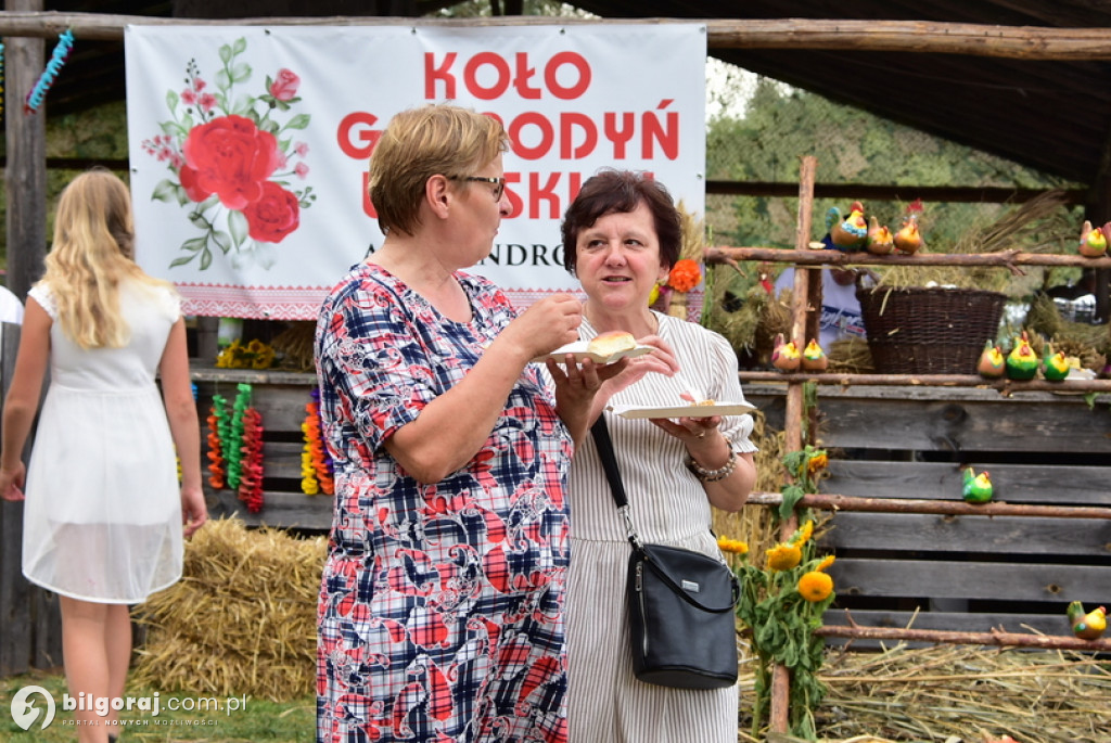 Dożynki gminne w Aleksandrowie