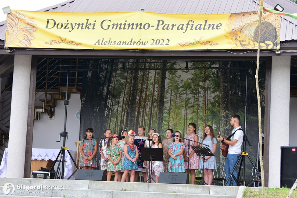 Dożynki gminne w Aleksandrowie