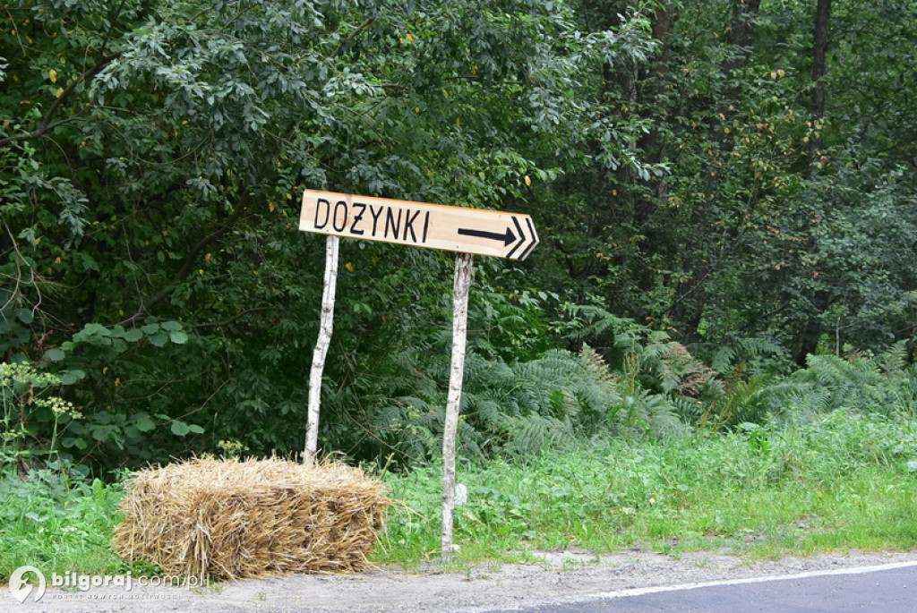 Dożynki gminne w Aleksandrowie