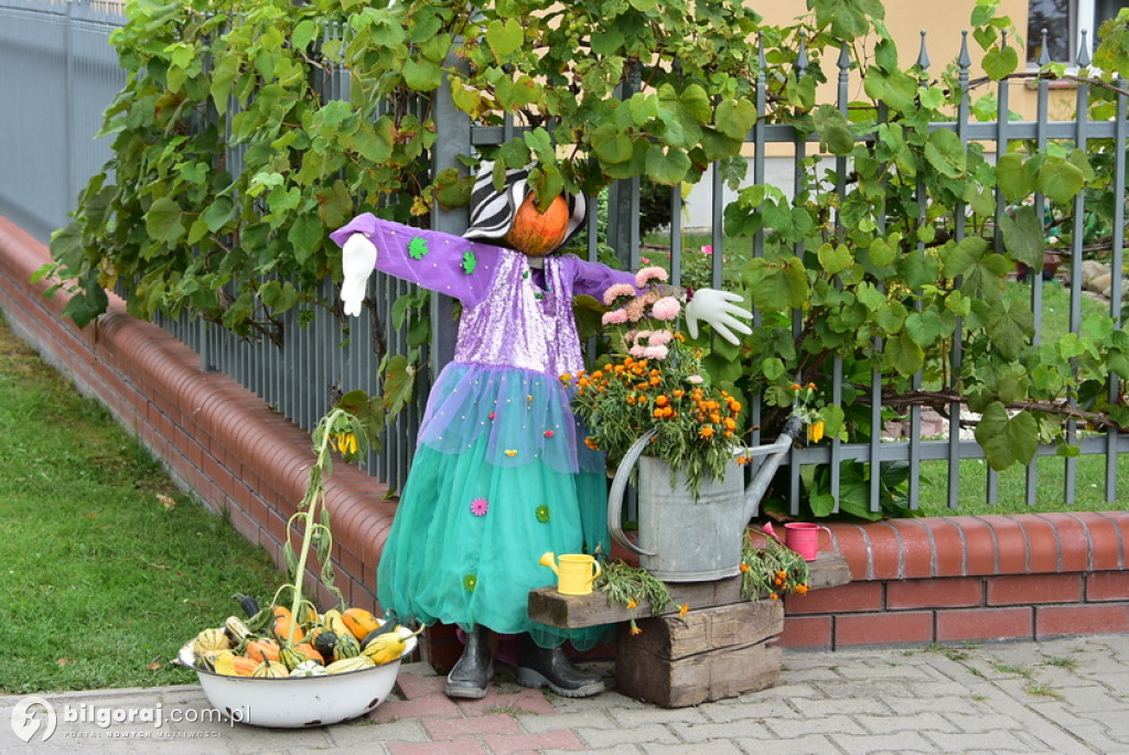 Dożynki gminne w Aleksandrowie
