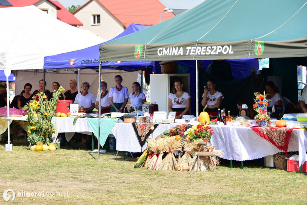 Dożynki Powiatowe 2022 - Msza święta