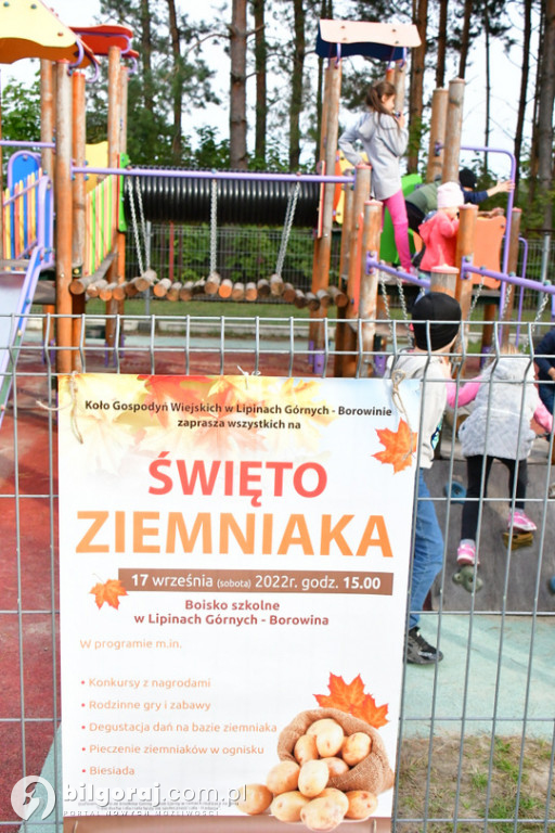 Święto ziemniaka w Lipinach Górnych - Borowinie