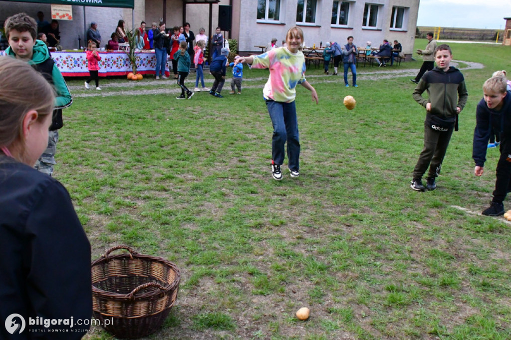 Święto ziemniaka w Lipinach Górnych - Borowinie
