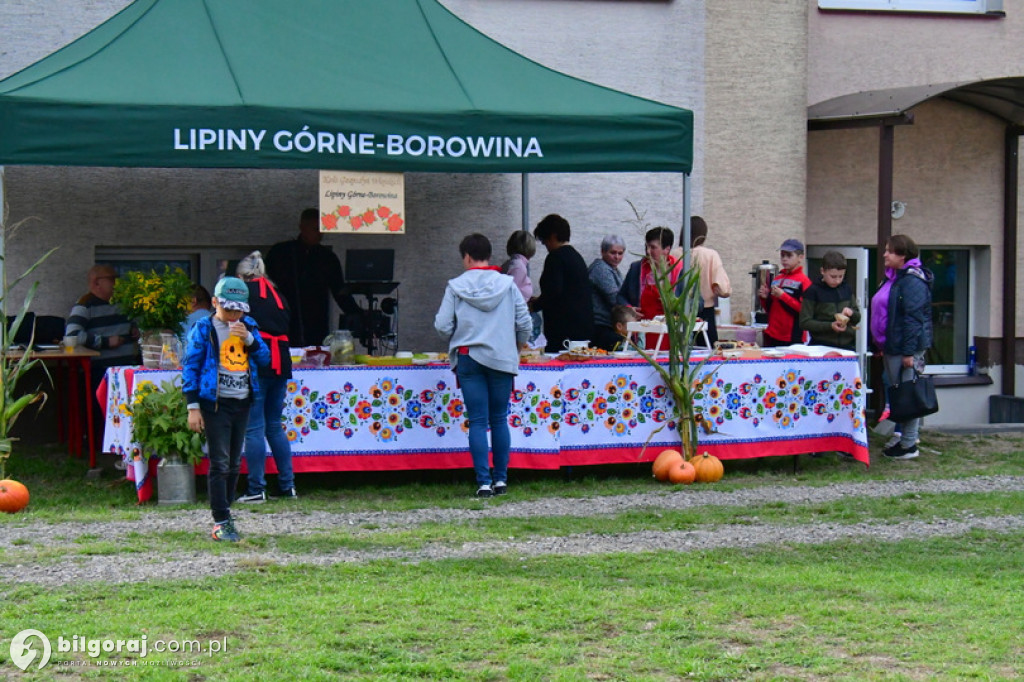 Święto ziemniaka w Lipinach Górnych - Borowinie