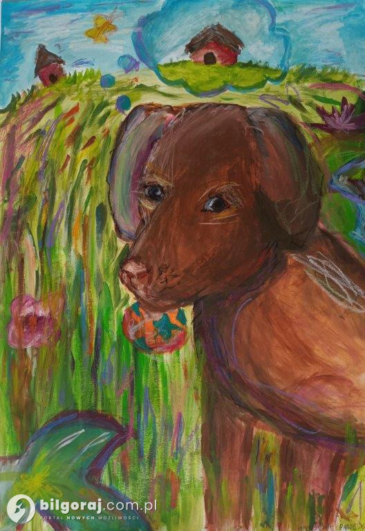Nasi pupile