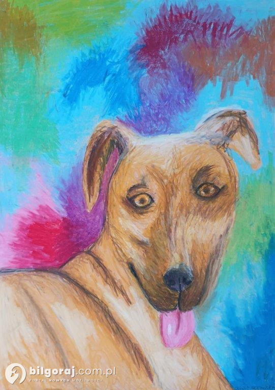Nasi pupile