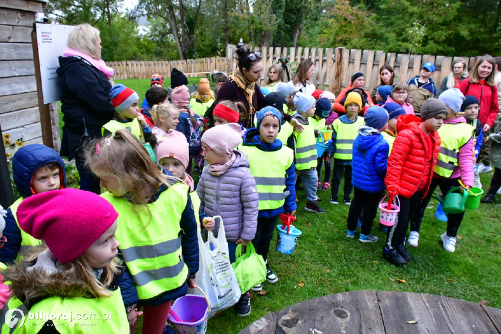 Dzieci sadziły krokusy przy zabudowaniach młyńskich