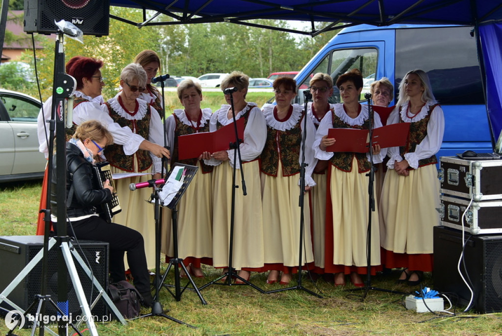 8. Piknik Historyczny w Brodziakach