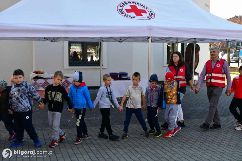 Biłgoraj. Piknik na Dzień Kozactwa