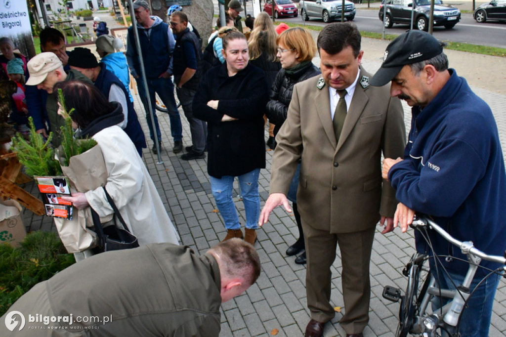 W Biłgoraju leśnicy za darmo rozdawali sadzonki drzew