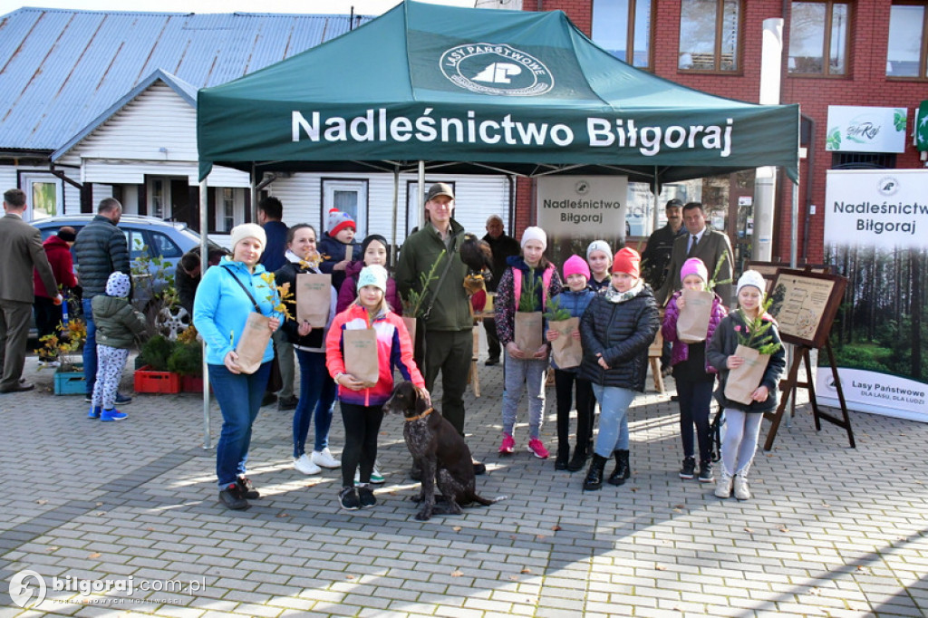W Biłgoraju leśnicy za darmo rozdawali sadzonki drzew
