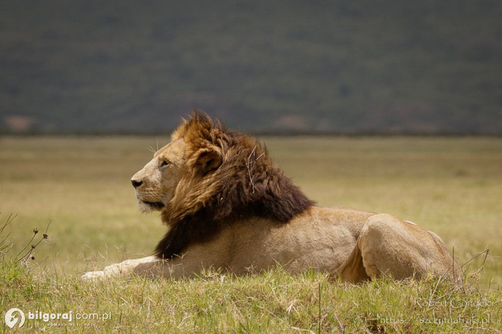 Tanzania, Kenia, Uganda, Rwanda. Afryka w Tarnogrodzie