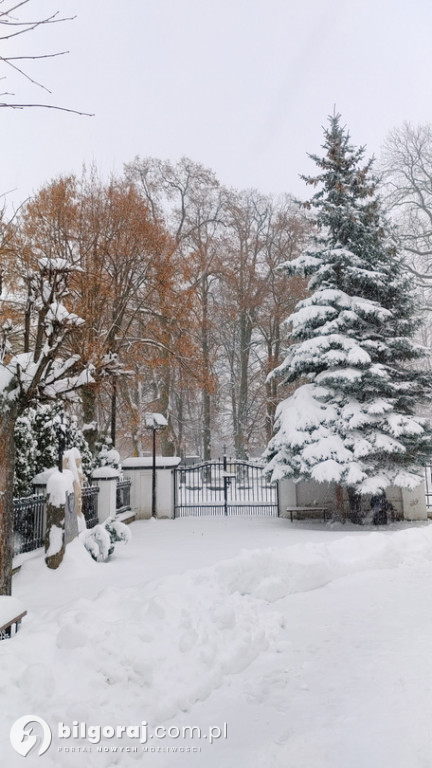 Tak Biłgoraj wygląda w zimowej aurze