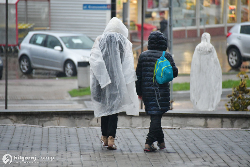 Szli w skupieniu i modlitwie całą noc. Uczestnicy EDK dotarli do Biłgoraja