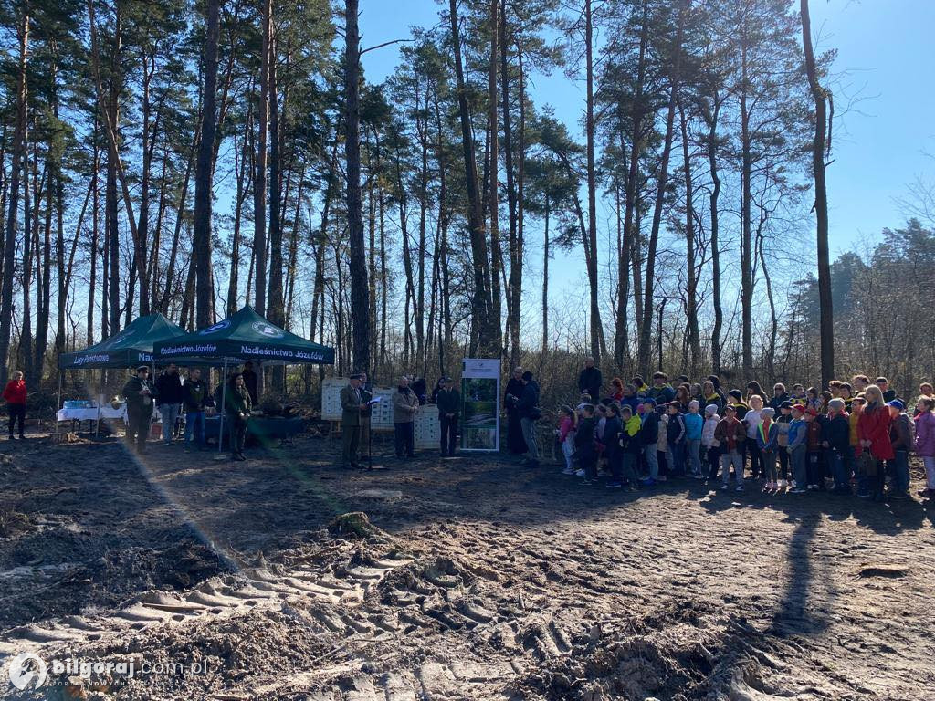 Gmina Józefów. Las Pamięci Jana Pawła II już rośnie!