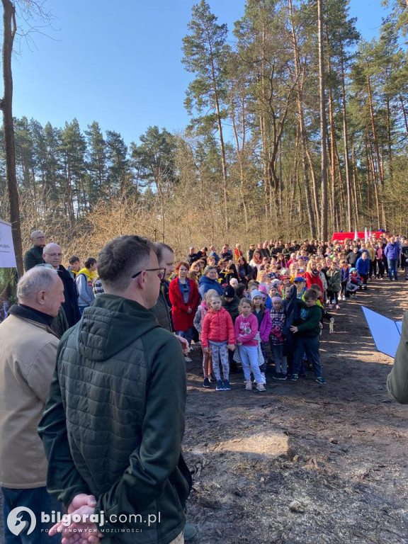 Gmina Józefów. Las Pamięci Jana Pawła II już rośnie!