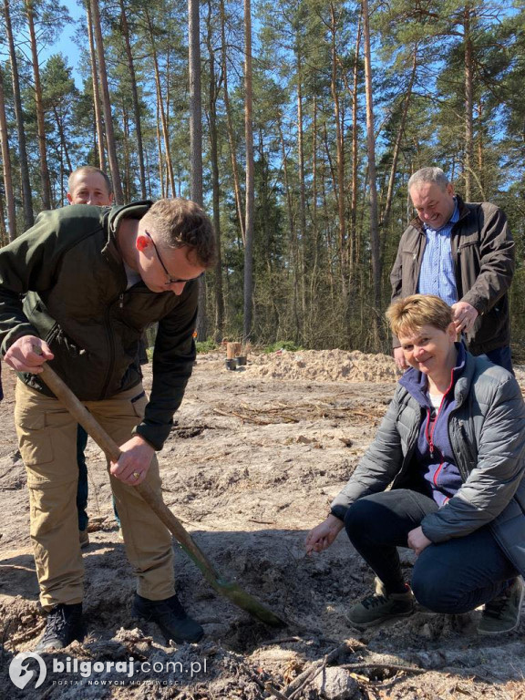 Gmina Józefów. Las Pamięci Jana Pawła II już rośnie!