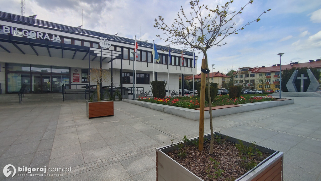 Wiosna zawitała do centrum Biłgoraja