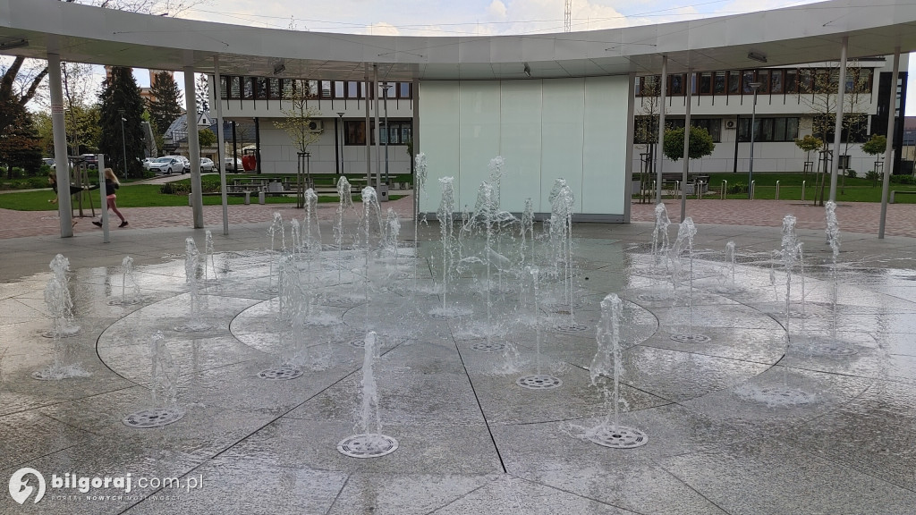 Wiosna zawitała do centrum Biłgoraja