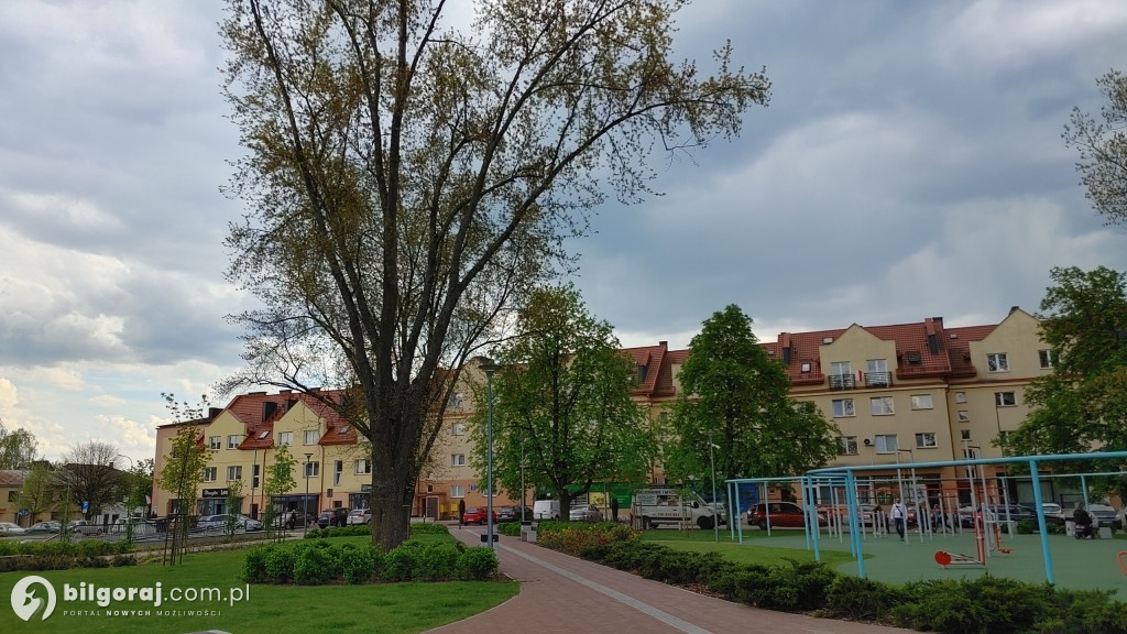 Wiosna zawitała do centrum Biłgoraja