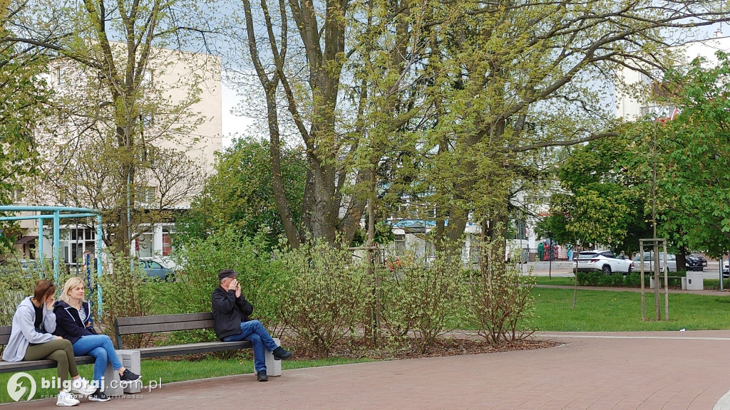 Wiosna zawitała do centrum Biłgoraja
