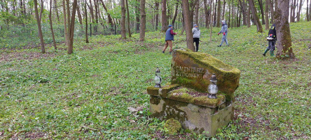 Sprzątanie cmentarza żydowskiego w Goraju