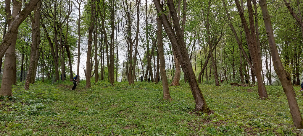 Sprzątanie cmentarza żydowskiego w Goraju