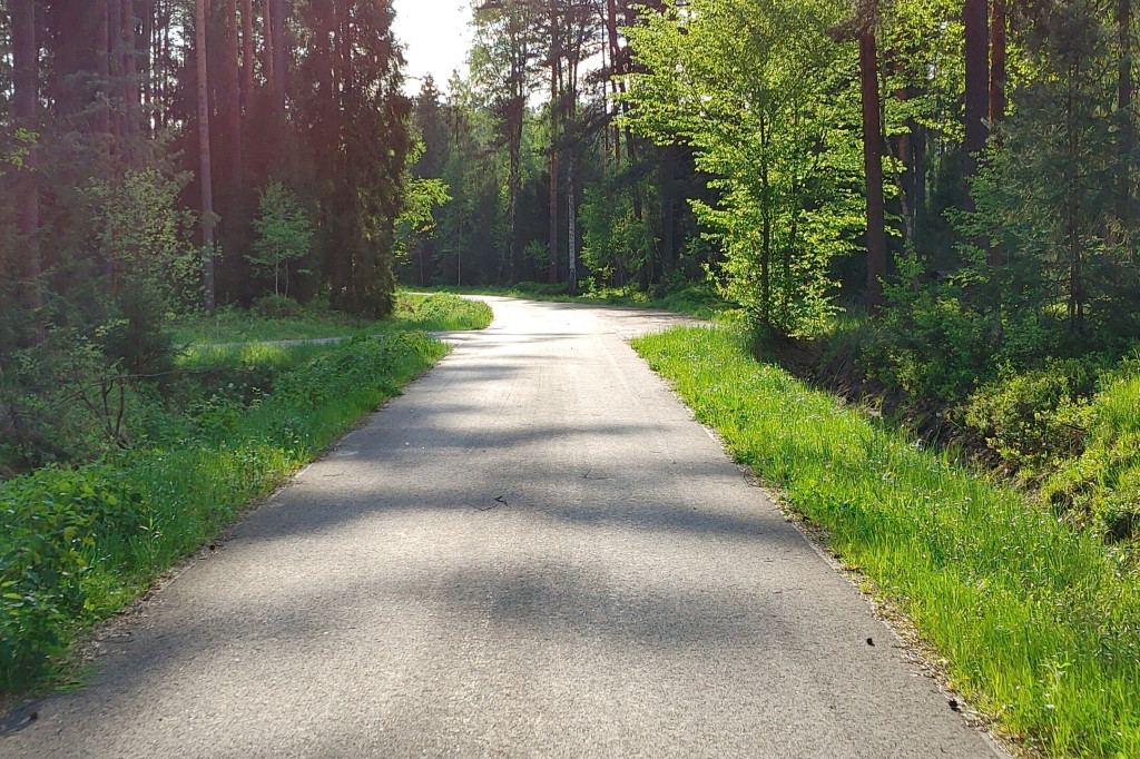 Lasy zrobiły raj dla rowerzystów, rolkowców i biegaczy