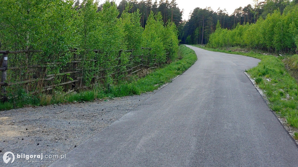 Lasy zrobiły raj dla rowerzystów, rolkowców i biegaczy