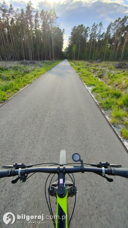 Lasy zrobiły raj dla rowerzystów, rolkowców i biegaczy