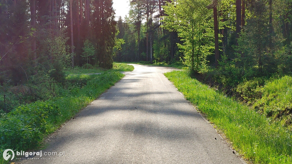 Lasy zrobiły raj dla rowerzystów, rolkowców i biegaczy