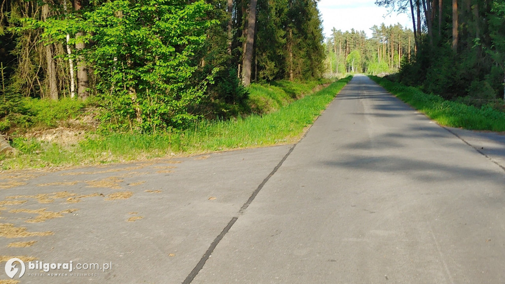 Lasy zrobiły raj dla rowerzystów, rolkowców i biegaczy