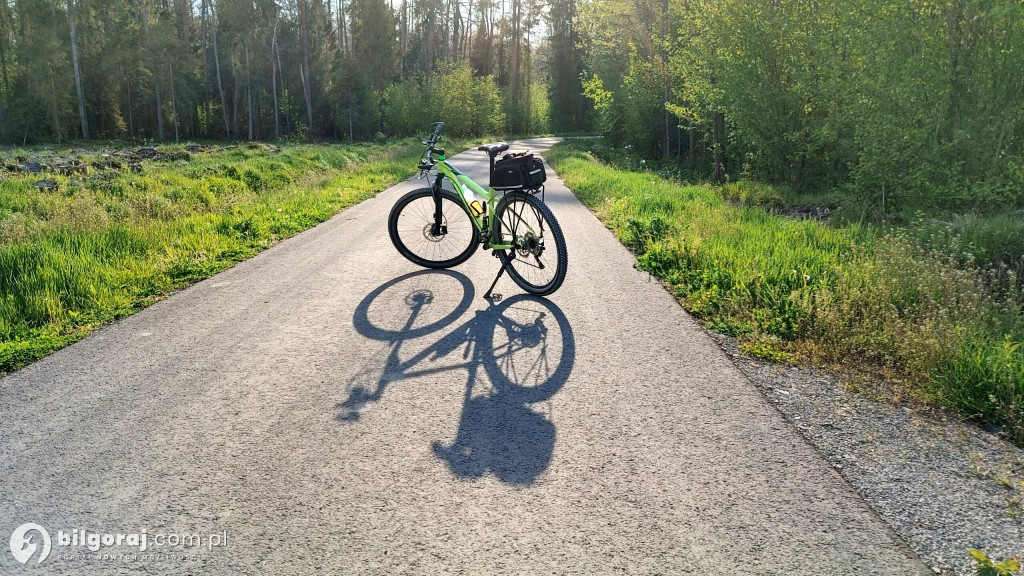 Lasy zrobiły raj dla rowerzystów, rolkowców i biegaczy